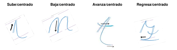 Trazos Grafológicos rectos